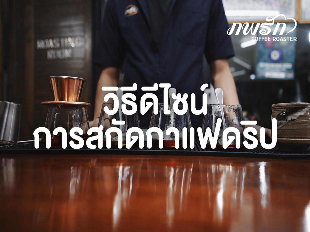 วิธีดีไซน์ การสกัดกาแฟดริป